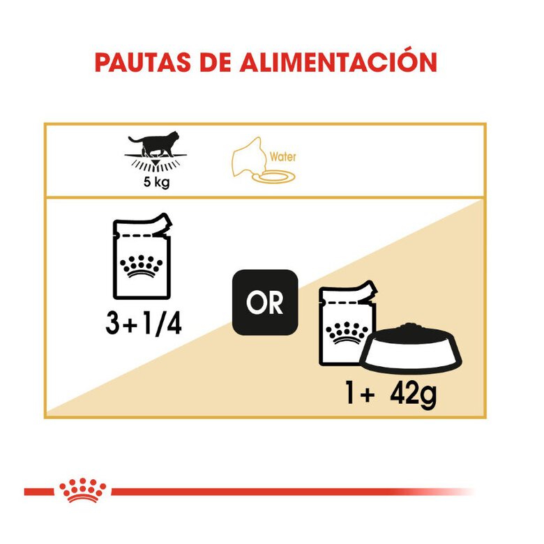 85 g Royal Canin comida húmida British Shorthair Adult,  Imagem número 6 85 g Royal Canin comida húmida British Shorthair Adult, , large Imagem número 6