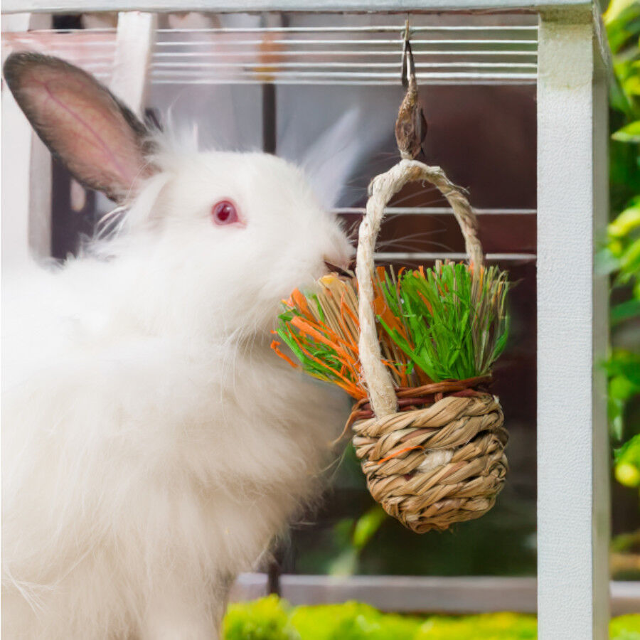 Quapas Basket Brinquedo para Roedores, , large Imagem n&uacute;mero 2