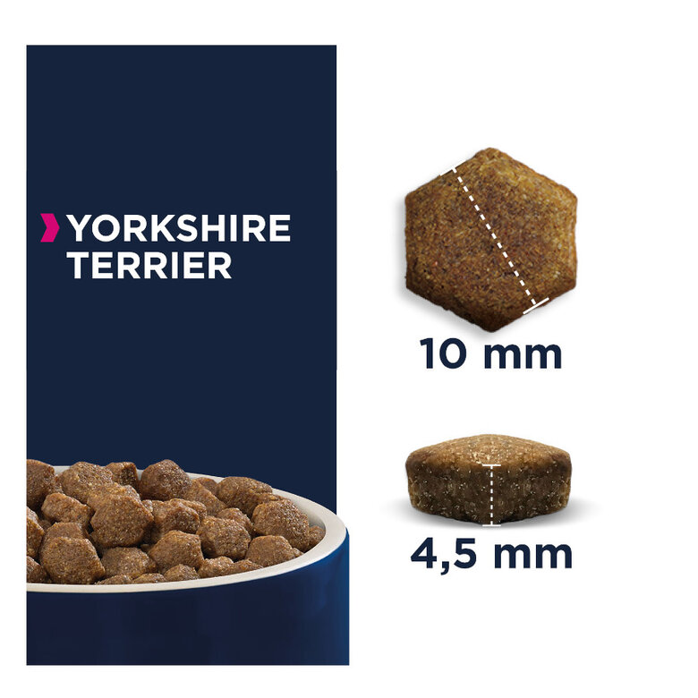 2 kg Eukanuba Adult Yorkshire Terrier ração para cães,  Imagem número 2 2 kg Eukanuba Adult Yorkshire Terrier ração para cães, , large Imagem número 2