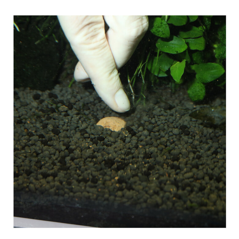 JBL 7 Kugeln Fertilizante para Plantas de aquário,  Imagem número 6 JBL 7 Kugeln Fertilizante para Plantas de aquário, , large Imagem número 6