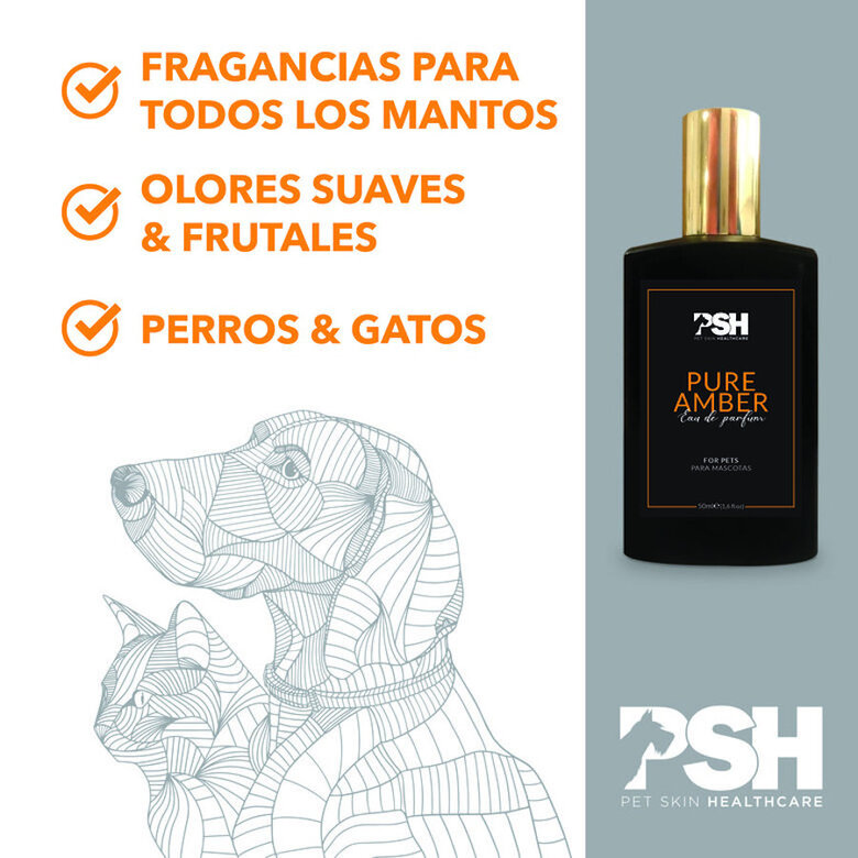 Perfume PSH Pure Amber para cães e gatos,  Imagem número 4 Perfume PSH Pure Amber para cães e gatos, , large Imagem número 4