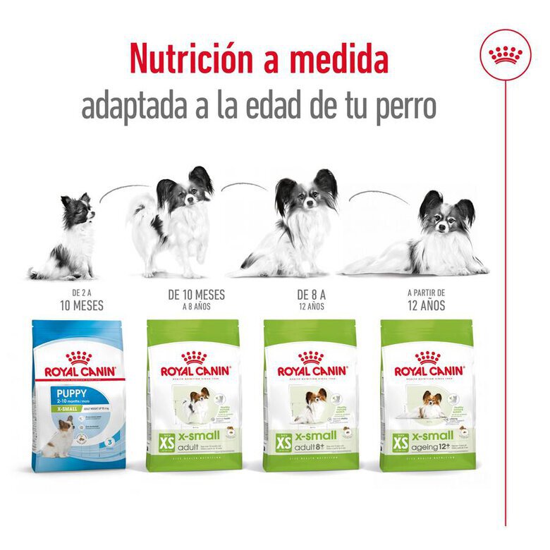 1.5 kg Royal Canin X-Small Ageing 12+ Adult ração para cães,  Imagem número 8 1.5 kg Royal Canin X-Small Ageing 12+ Adult ração para cães, , large Imagem número 8
