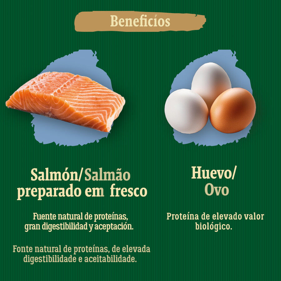2 kg True Origins Wild Pacific Salm&atilde;o ra&ccedil;&atilde;o para gatos s&eacute;nior, , large Imagem n&uacute;mero 5