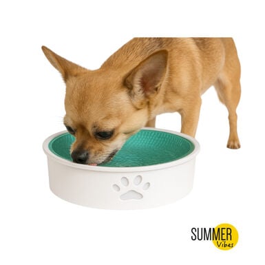 Summer Vibes Bebeduro Refrescante para cães