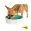 Summer Vibes Bebeduro Refrescante para cães, , large Indicador imagem número 2