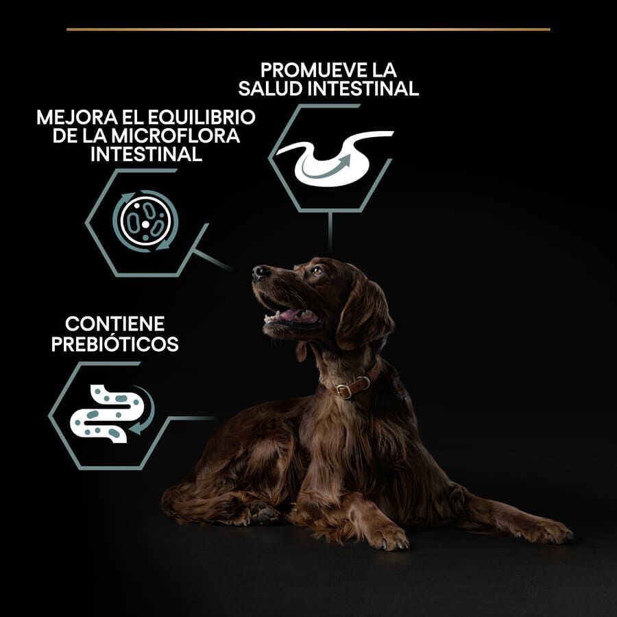 14 kg Pro Plan Adult Large Athletic Digest&atilde;o Cordeiro ra&ccedil;&atilde;o para c&atilde;es, , large Imagem n&uacute;mero 9