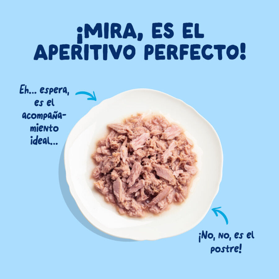 70 g Edgard & Cooper Alimento h&uacute;mido de atum em lata para gatos, , large Imagem n&uacute;mero 3