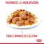 85 g Royal Canin Nutrition Appetite Control Care geleia para gatos, , large Indicador imagem número 3