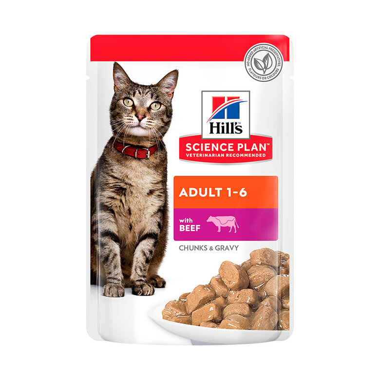 85 g Hill's Science Plan Adult Vitela Saqueta em Molho para gatos,  Imagem número 1 85 g Hill's Science Plan Adult Vitela Saqueta em Molho para gatos, , large Imagem número 1
