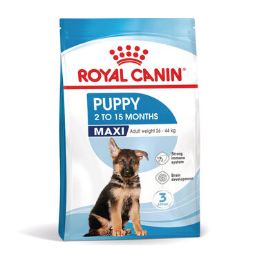 Royal Canin Puppy Maxi ração para cães