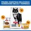 85 g Hill's Science Plan Mature Sterilised Comida h&uacute;mida Mousse de Frango para gatos, , large Indicador imagem n&uacute;mero 6
