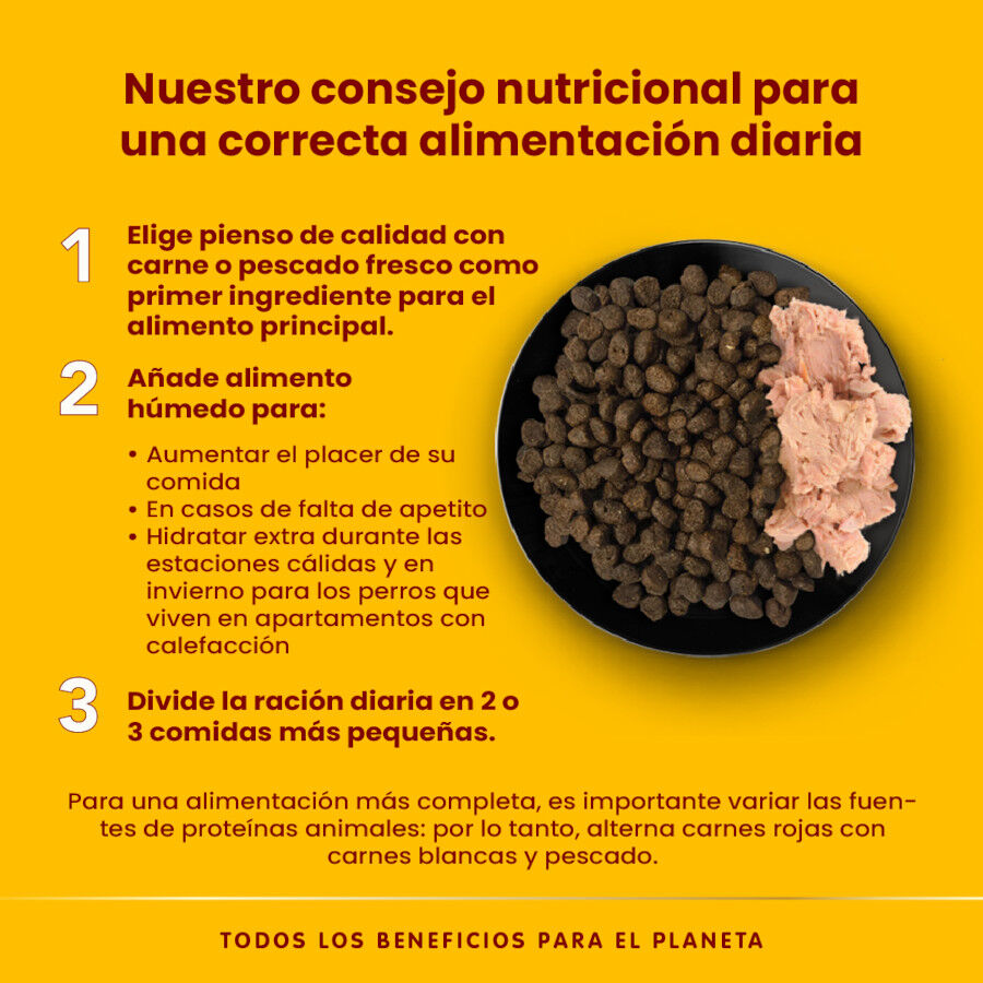 280 g Almo Nature HFC Classic para c&atilde;es, , large Imagem n&uacute;mero 4