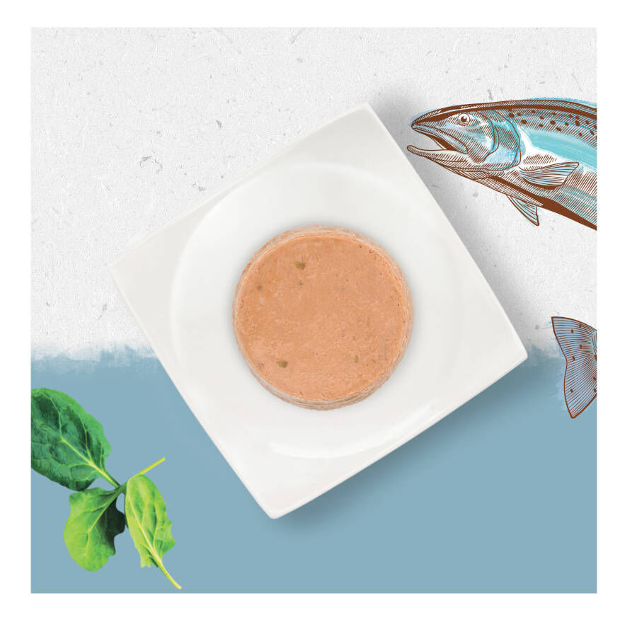 85 g Beyond Grain Free Salm&atilde;o lata para gatos, , large Imagem n&uacute;mero 3