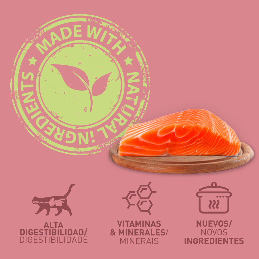 400 g Catzilla Adult Grain Free Salm&atilde;o Pat&ecirc; lata para gatos, , large Imagem n&uacute;mero 3