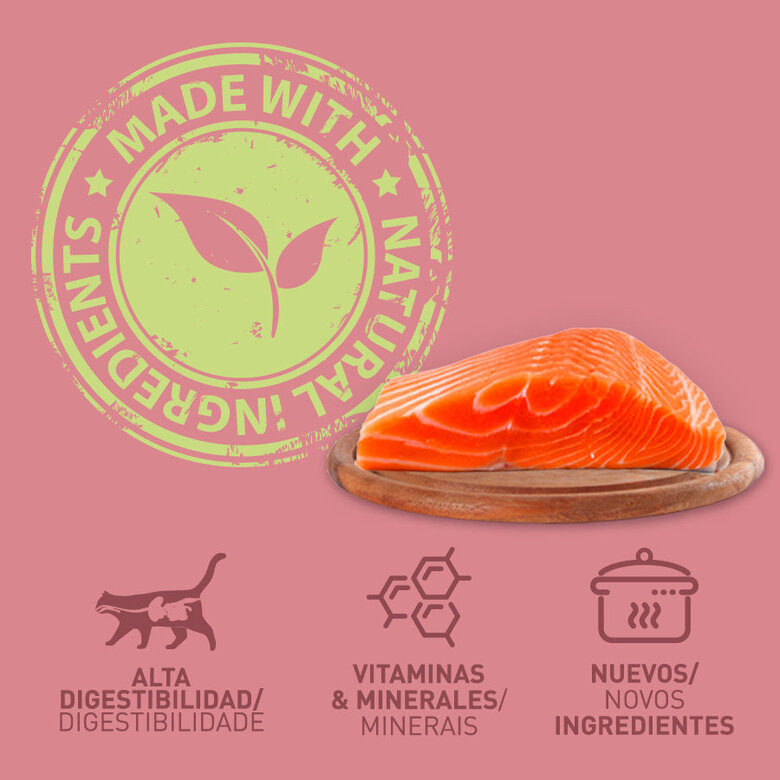 400 g Catzilla Adult Grain Free Salmão Patê lata para gatos,  Imagem número 3 400 g Catzilla Adult Grain Free Salmão Patê lata para gatos, , large Imagem número 3