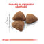 10 kg Royal Canin Home Life Indoor 27 ração para gatos, , large Indicador imagem número 3