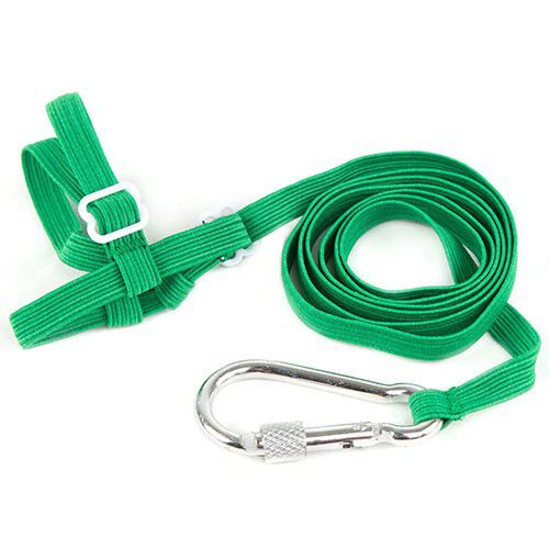 TK-Pet arn&eacute;s con correa para agaporni Imagem n&uacute;mero 1