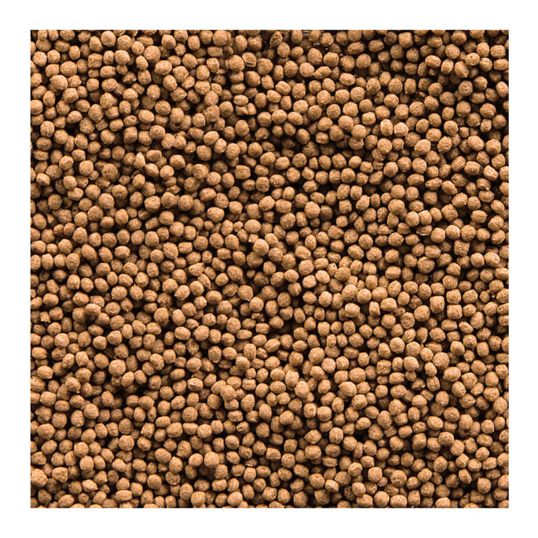 Sera Goldy Gran Nature Alimento para peixes de água fria, , large image number null