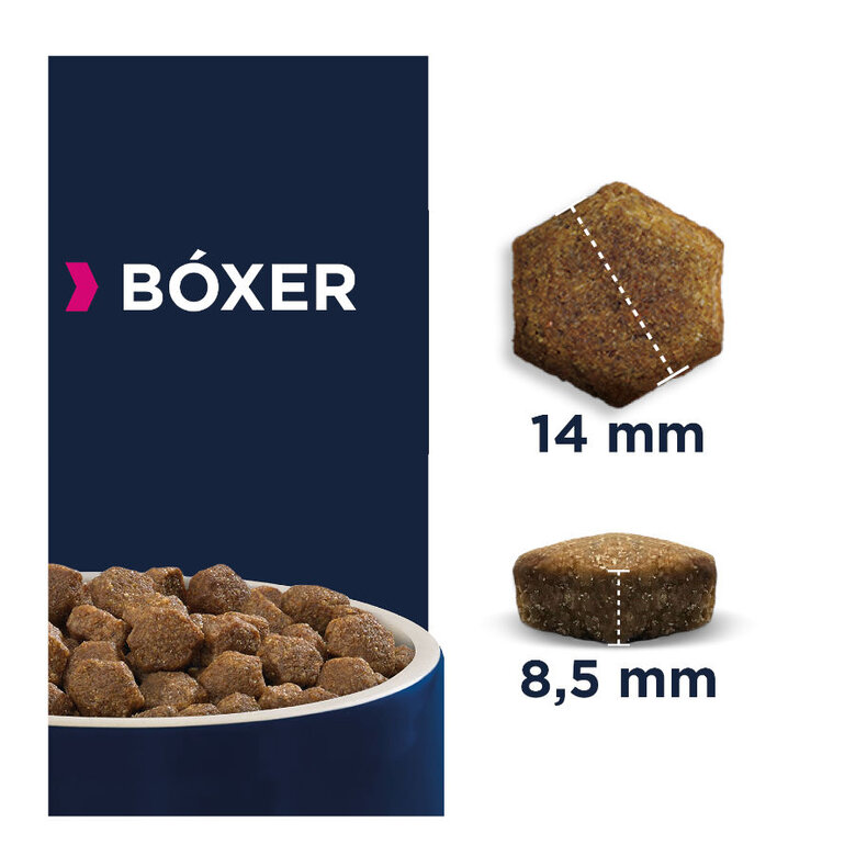 12 kg Eukanuba Breed Specific Boxer ração para cães,  Imagem número 2 12 kg Eukanuba Breed Specific Boxer ração para cães, , large Imagem número 2