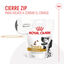 230 g Royal Canin Treats Urinary Snacks para cães, , large Indicador imagem número 4