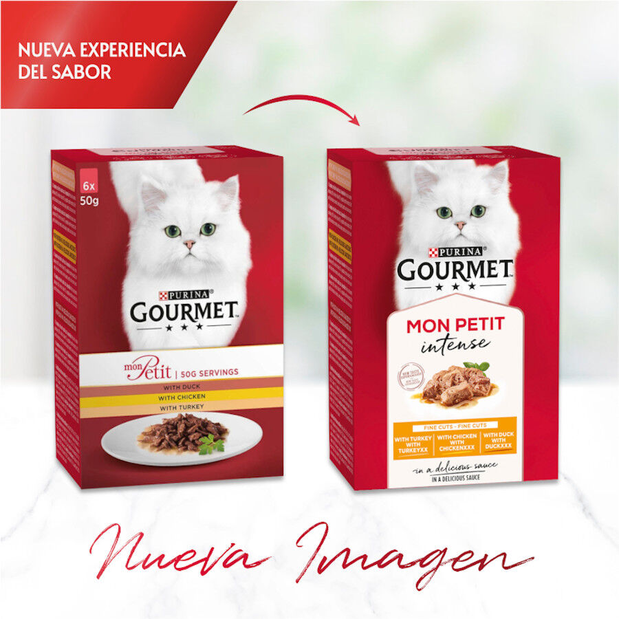 6 saquetas x 50 g Purina Gourmet Mon Petit Sele&ccedil;&atilde;o de Peixes em molho, , large Imagem n&uacute;mero 2