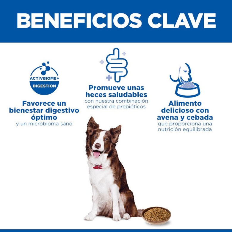 363 g Hill's Adult Science Plan Perfect Digestion frango ração para cães,  Imagem número 3 363 g Hill's Adult Science Plan Perfect Digestion frango ração para cães, , large Imagem número 3