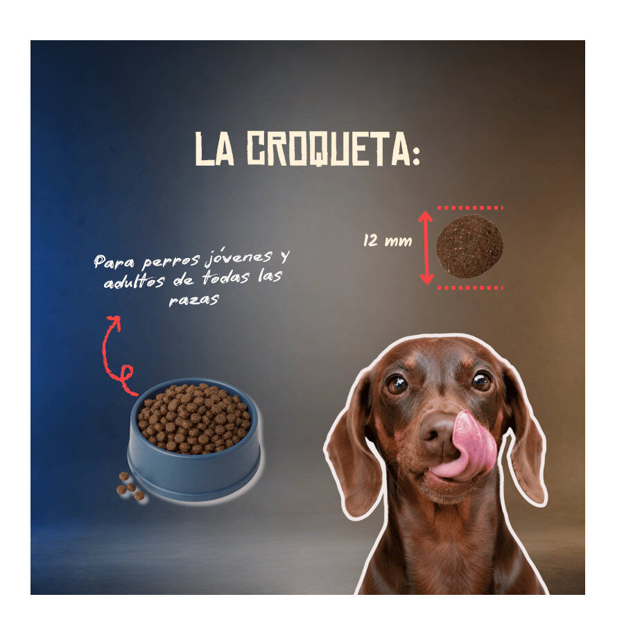 10 kg Lenda Grain Free Ra&ccedil;&atilde;o de Porco para c&atilde;es, , large Imagem n&uacute;mero 6