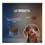 10 kg Lenda Grain Free Ra&ccedil;&atilde;o de Porco para c&atilde;es, , large Indicador imagem n&uacute;mero 6