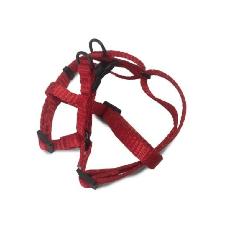 Outech Peitoral vermelho para cães,  Imagem número 1 Outech Peitoral vermelho para cães, , large Imagem número 1