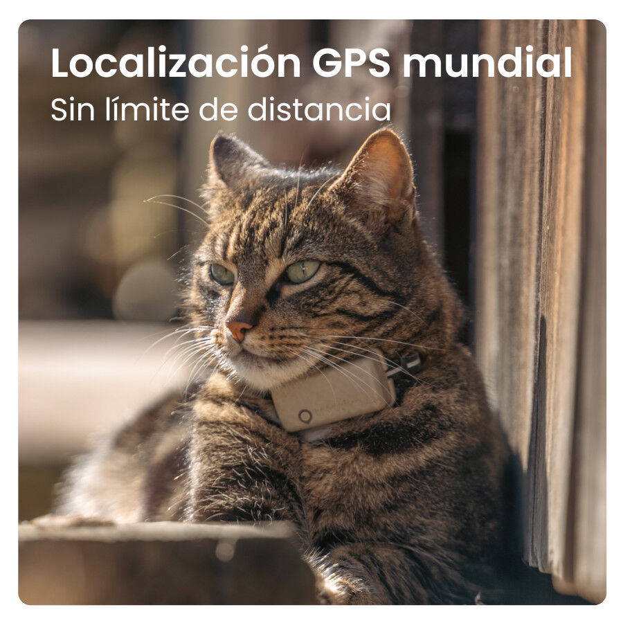 Tractive Cat Mini Rastreador GPS Marrom para Gatos, , large Imagem n&uacute;mero 4