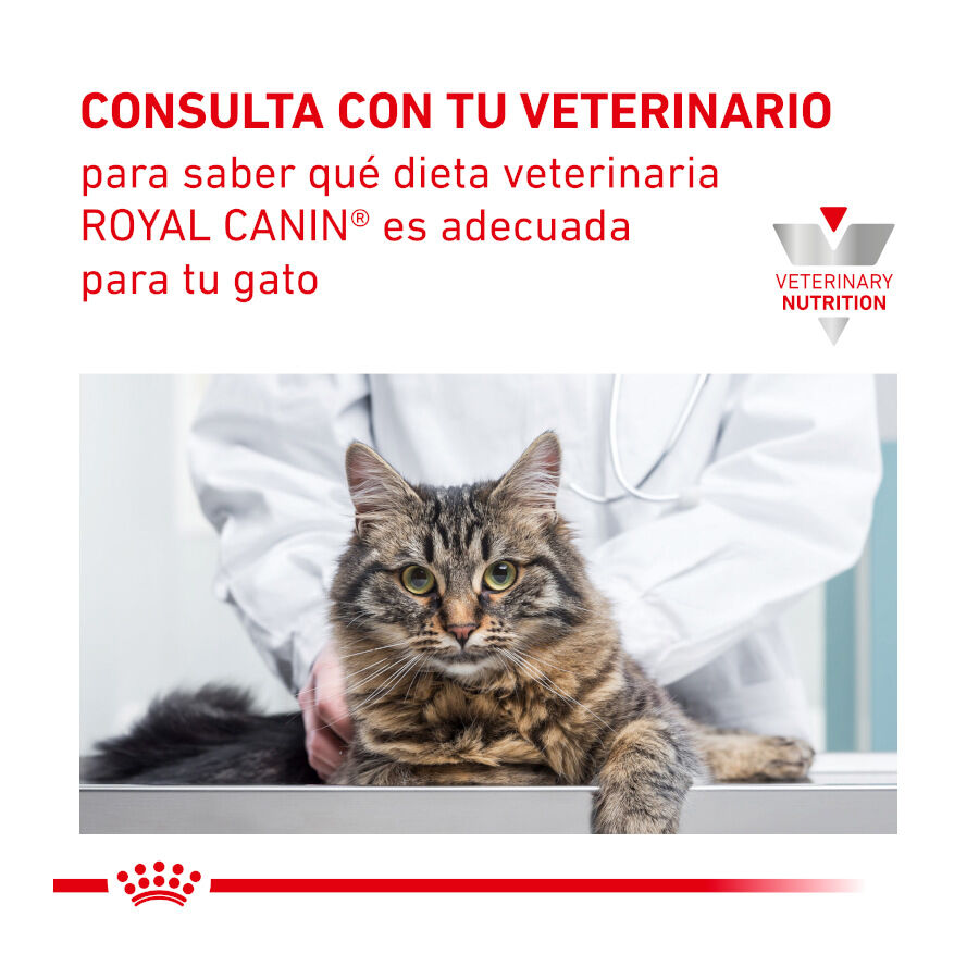 12 saquetas x 85 g Pack 12 Saquetas Royal Canin Veterinary Diet Feline Urinary S/O 85 g, , large Imagem n&uacute;mero 8