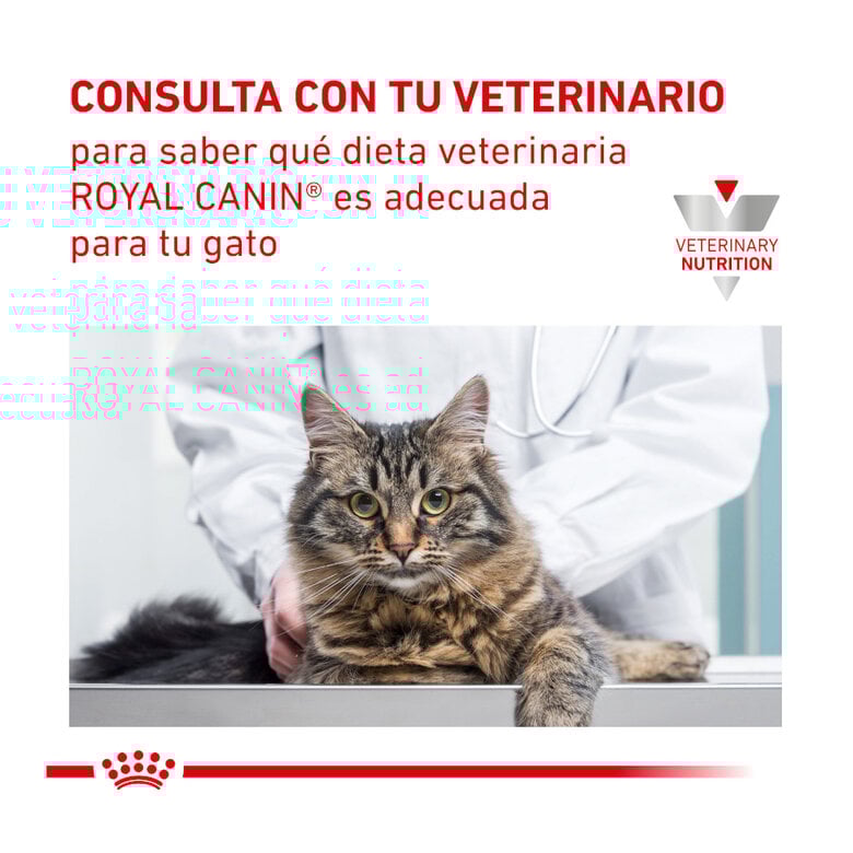 12 saquetas x 85 g Pack 12 Saquetas Royal Canin Veterinary Diet Feline Urinary S/O 85 g,  Imagem número 8 12 saquetas x 85 g Pack 12 Saquetas Royal Canin Veterinary Diet Feline Urinary S/O 85 g, , large Imagem número 8