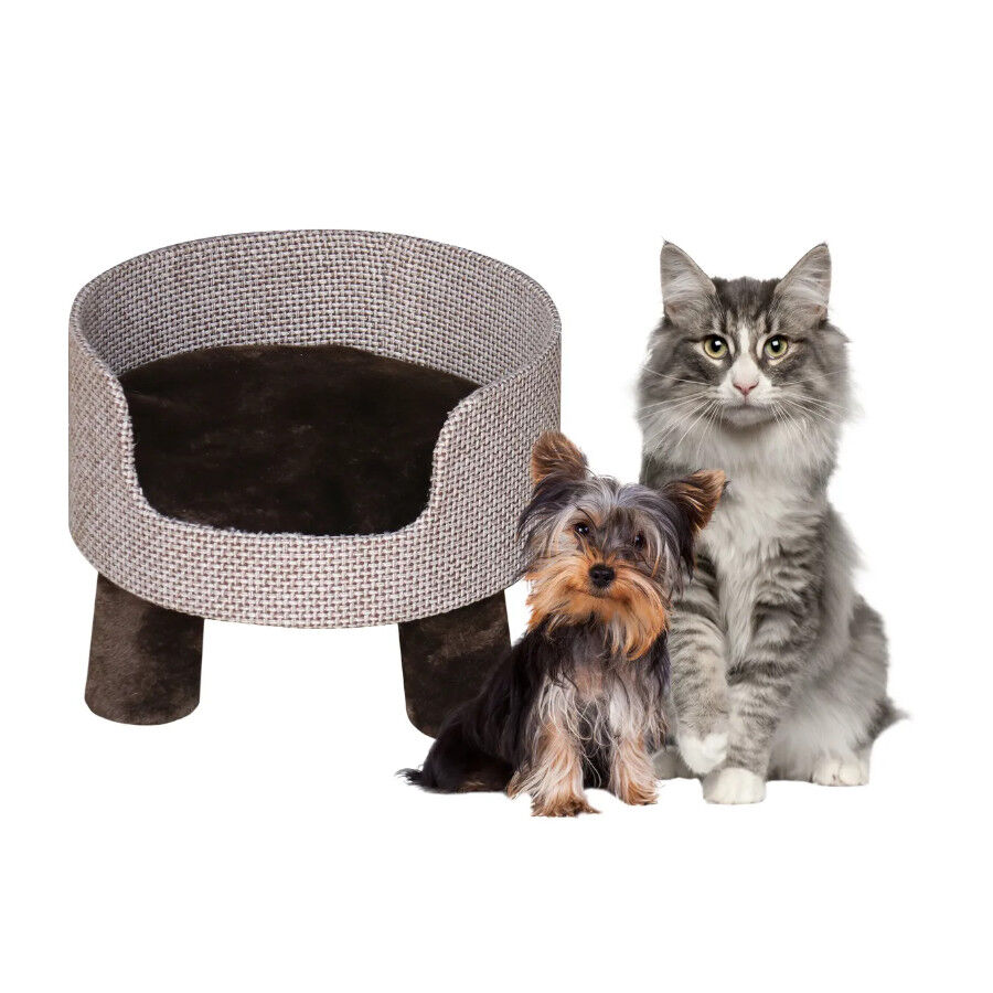 Flamingo Anas Sof&aacute; Castanho para c&atilde;es e gatos, , large Imagem n&uacute;mero 4