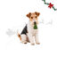 1 un. Wonder Christmas &Aacute;rvore de Couro Prensado Snacks para C&atilde;es, , large Indicador imagem n&uacute;mero 1