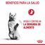 10 kg Royal Canin Appetite Control Care ração para gatos , , large Indicador imagem número 6