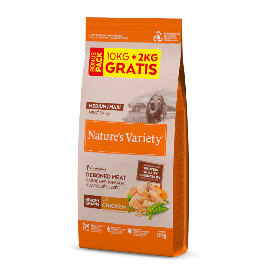 12 kg (10 +2 kg gr&aacute;tis!) Nature's Variety Healthy Grain Adult Medium Maxi Frango ra&ccedil;&atilde;o para c&atilde;es, , large Imagem n&uacute;mero 1