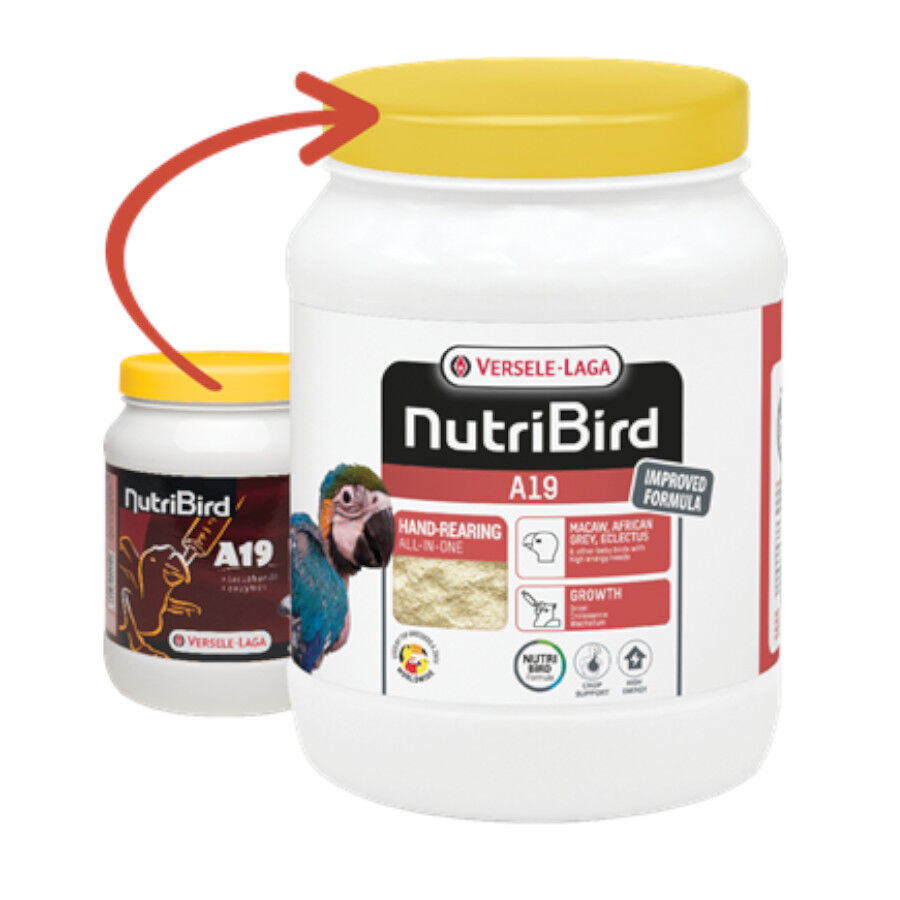 Versele-Laga NutriBird A19 Papa para filhotes de papagaios , , large Imagem n&uacute;mero 1