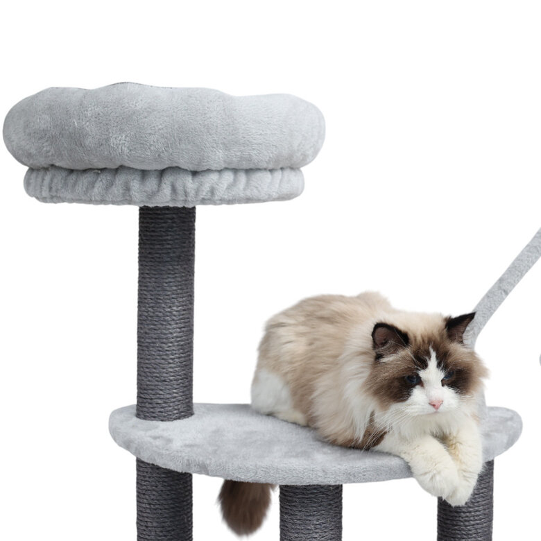 Leeby Kenzo árvore arranhadora com cama para gatos,  Imagem número 3 Leeby Kenzo árvore arranhadora com cama para gatos, , large Imagem número 3