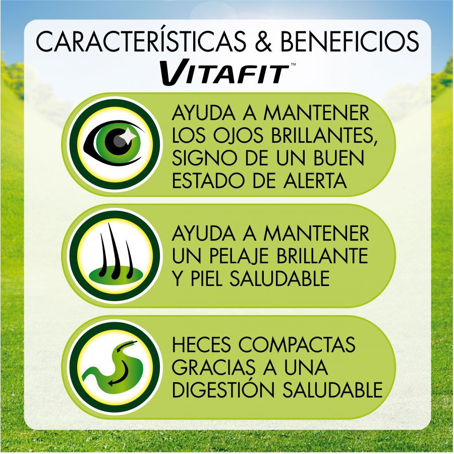 4 saquetas x 85 g Friskies Frango em molho comida h&uacute;mida para c&atilde;o, , large Imagem n&uacute;mero 2