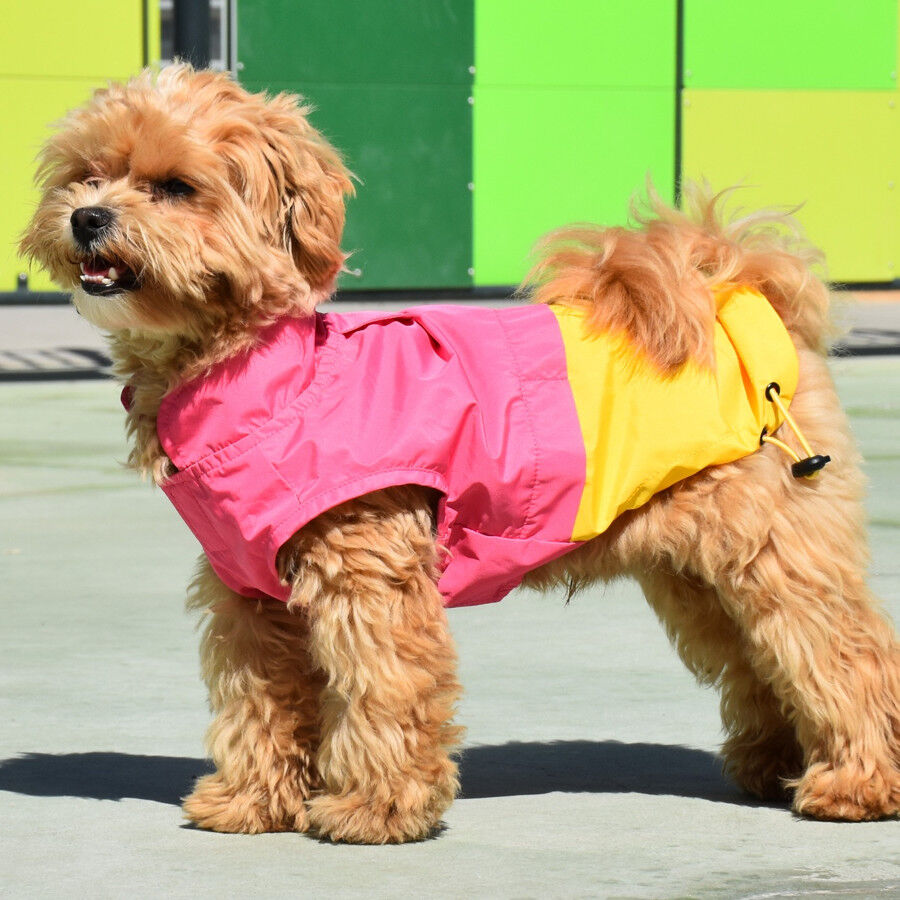 Nayeco X-TRM Capa de Chuva Rosa e Amarela para c&atilde;es, , large Imagem n&uacute;mero 1