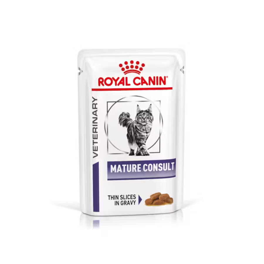 12 saquetas x 85 g Royal Canin Mature Consult L&aacute;minas em molho Sachet para gatos, , large Imagem n&uacute;mero 1