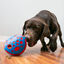 Kong Rewards Wally Brinquedo para cães, , large Indicador imagem número 2