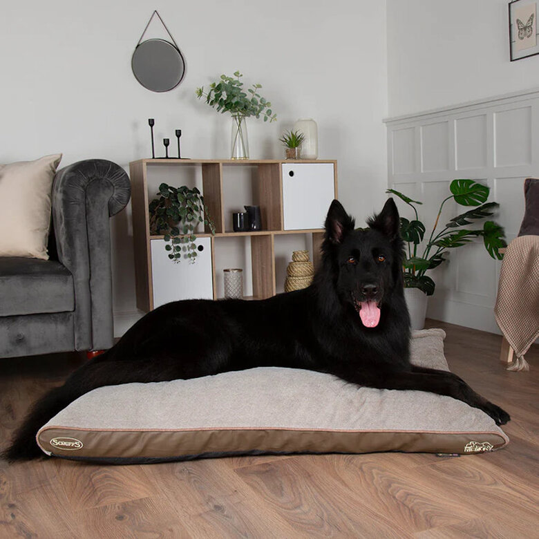Scruffs Chateau Colchão Ortopédico Latte para cães,  Imagem número 2 Scruffs Chateau Colchão Ortopédico Latte para cães, , large Imagem número 2