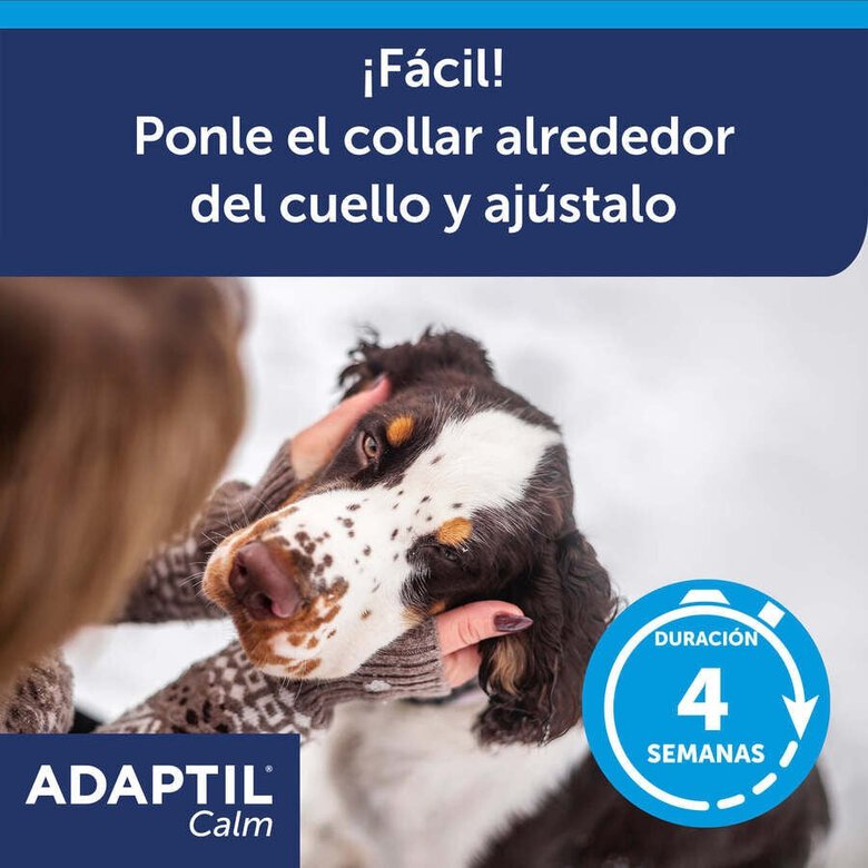 Adaptil Calm Coleira Relaxante para cães,  Imagem número 5 Adaptil Calm Coleira Relaxante para cães, , large Imagem número 5