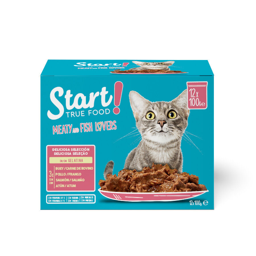 12 latas x 100 g Start Cat Carne com Frango e Peixe em Geleia para gatos, , large Imagem n&uacute;mero 1