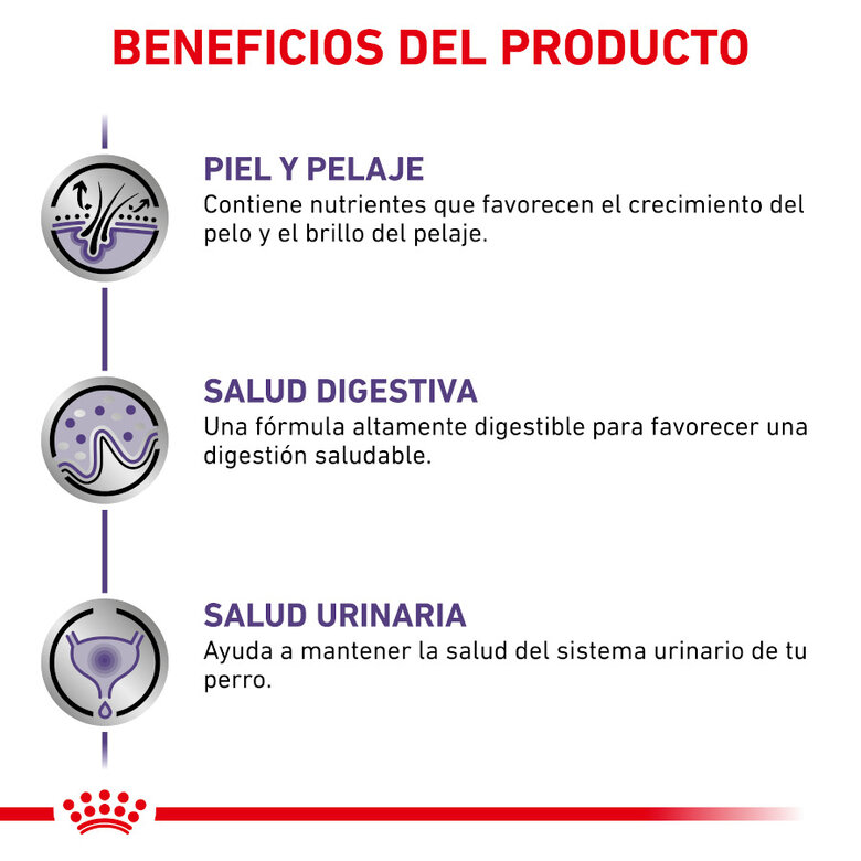 12 saquetas x 100 g Royal Canin Expert Adult Saqueta em Molho para cães,  Imagem número 6 12 saquetas x 100 g Royal Canin Expert Adult Saqueta em Molho para cães, , large Imagem número 6