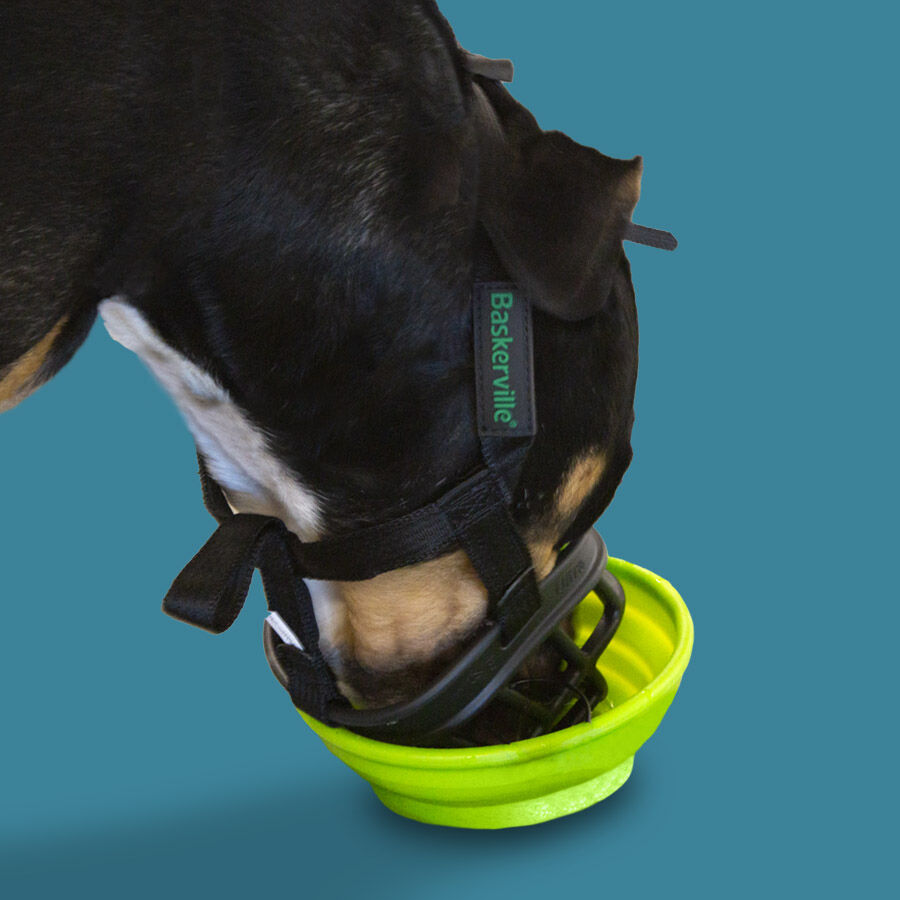 Baskerville Ultra Muzzle A&ccedil;aime tipo cesto para c&atilde;es, , large Imagem n&uacute;mero 3