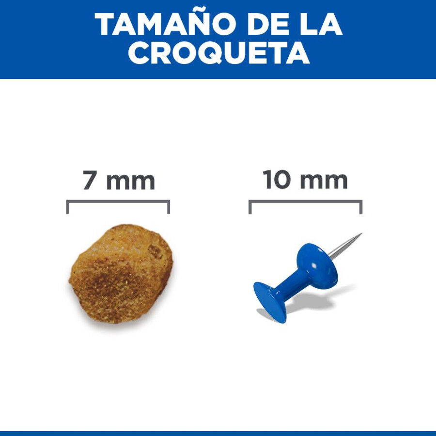 15 kg Hill's Science Plan Sterilised Adult Frango ra&ccedil;&atilde;o para gatos, , large Imagem n&uacute;mero 9