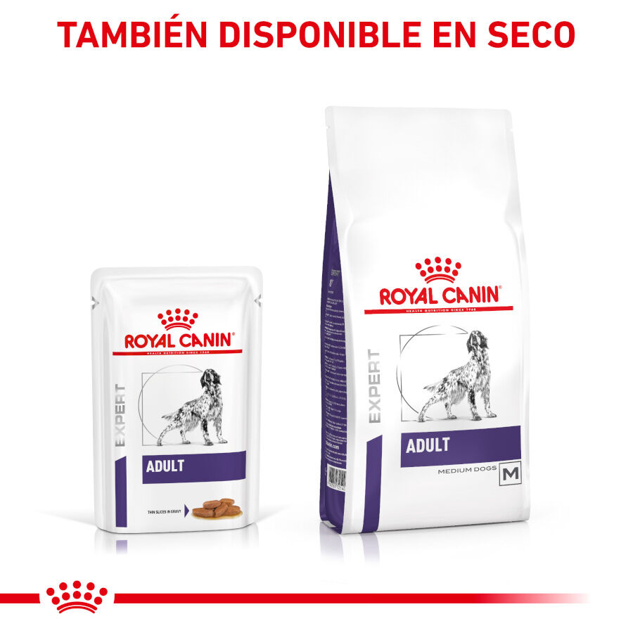 12 saquetas x 85 g Royal Canin Expert Adult L&aacute;minas em molho sobre para c&atilde;es, , large Imagem n&uacute;mero 6