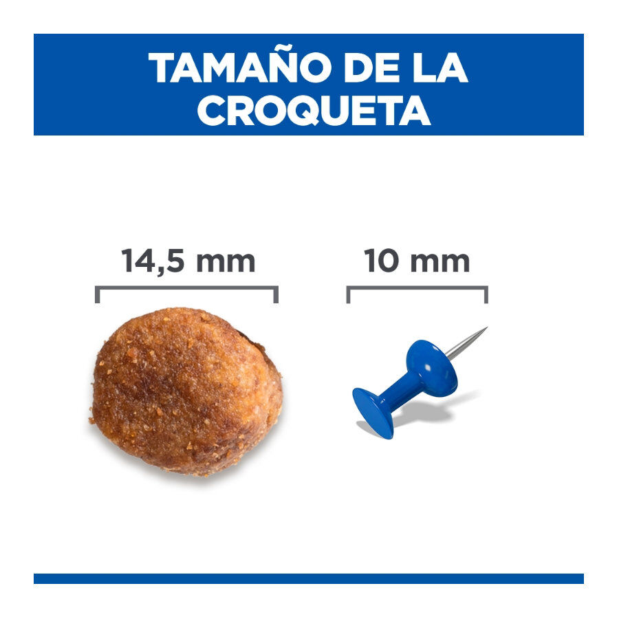 12 kg Hill's Science Plan Healthy Mobility Adult Large Frango ra&ccedil;&atilde;o para c&atilde;es, , large Imagem n&uacute;mero 4